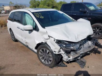 2023 HONDA ODYSSEY EX-L 5FNRL6H65PB008939