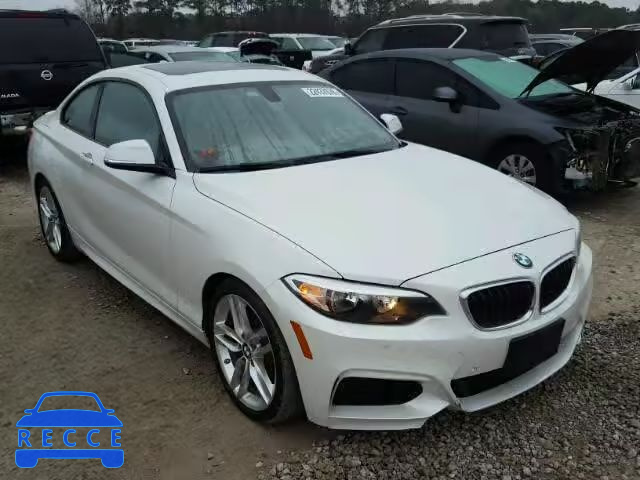 2015 BMW 228 I WBA1F5C57FV257723 image 0
