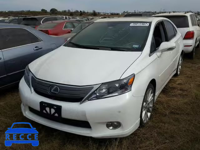 2010 LEXUS HS 250H JTHBB1BA0A2018680 image 1