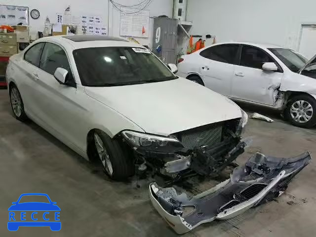 2014 BMW 228 I WBA1F5C51EV246022 image 0