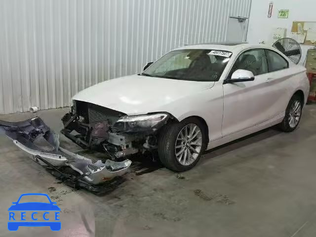2014 BMW 228 I WBA1F5C51EV246022 image 1