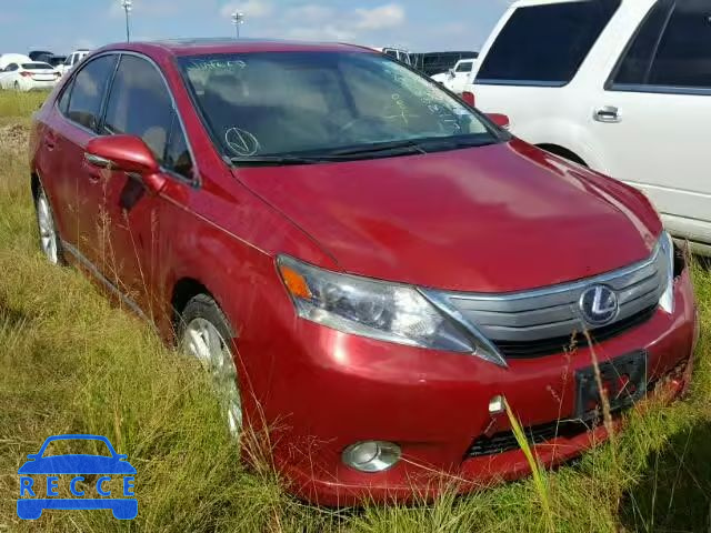 2010 LEXUS HS 250H JTHBB1BA9A2009265 image 0