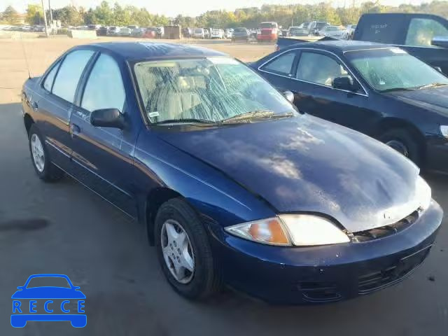 2001 CHEVROLET CAVALIER B 1G1JC524917193792 image 0