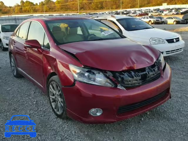 2010 LEXUS HS 250H JTHBB1BA9A2013865 image 0