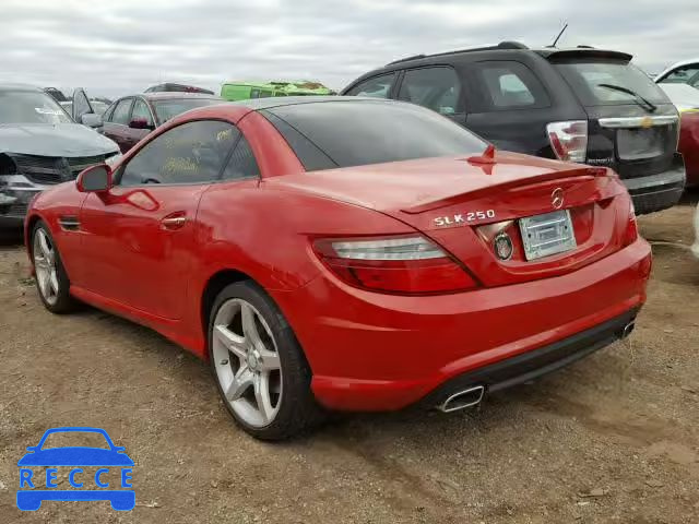 2014 MERCEDES-BENZ SLK 250 WDDPK4HA4EF077977 image 2