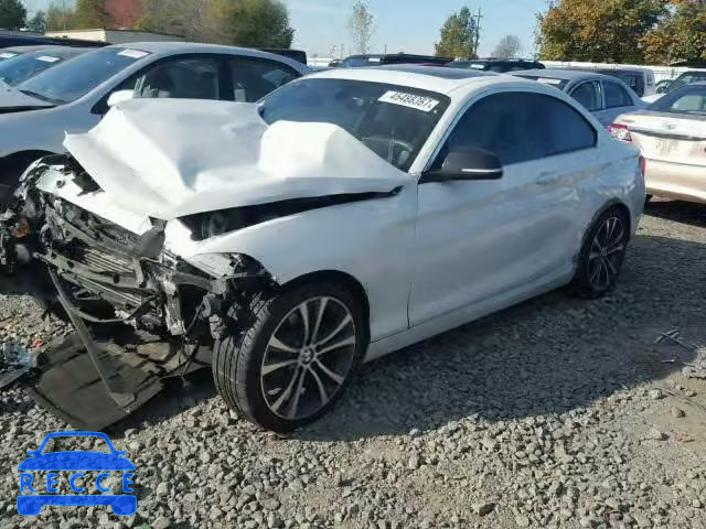 2014 BMW 228 I WBA1F5C57EVV99297 image 1