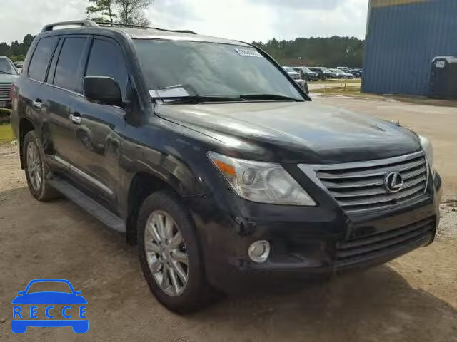 2009 LEXUS LX 570 JTJHY00W594021834 image 0