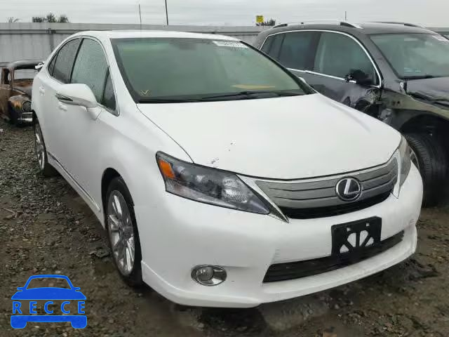 2010 LEXUS HS 250H JTHBB1BA8A2024131 image 0