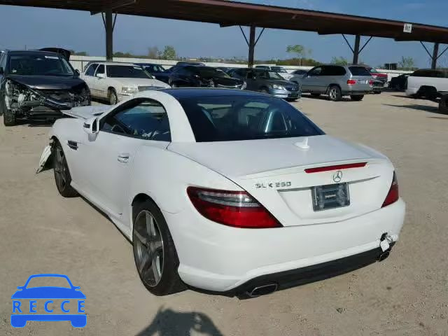 2015 MERCEDES-BENZ SLK 250 WDDPK4HA4FF107299 image 2