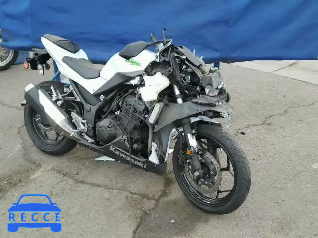 2015 KAWASAKI EX300 A JKAEX8A17FDA21384 Bild 0