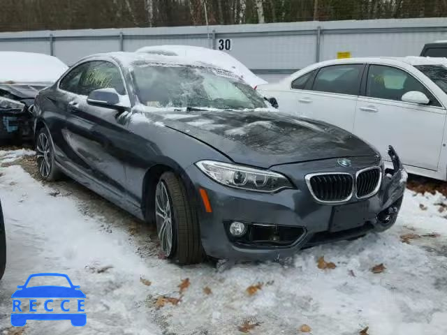 2016 BMW 228 XI WBA1G9C55GVX97139 image 0