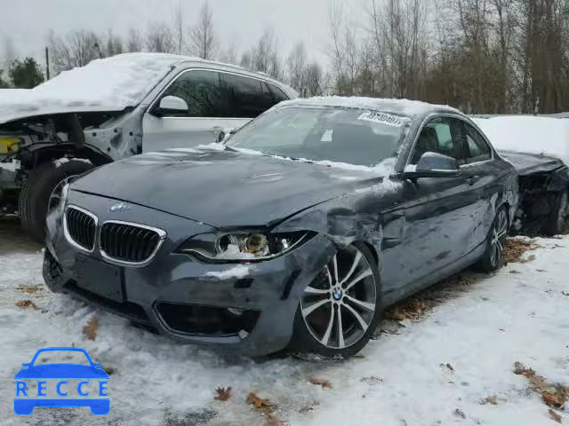 2016 BMW 228 XI WBA1G9C55GVX97139 image 1