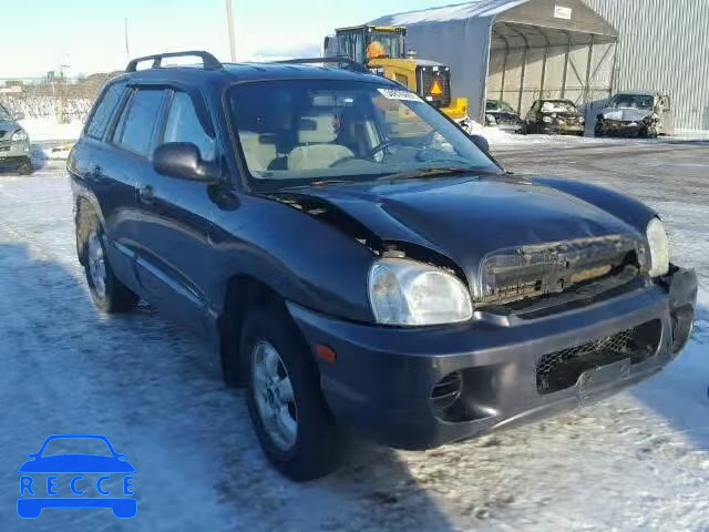 2005 HYUNDAI SANTA FE B KM8SB13D15U930377 Bild 0