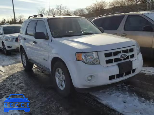 2009 FORD ESCAPE HYB 1FMCU59309KC56261 зображення 0