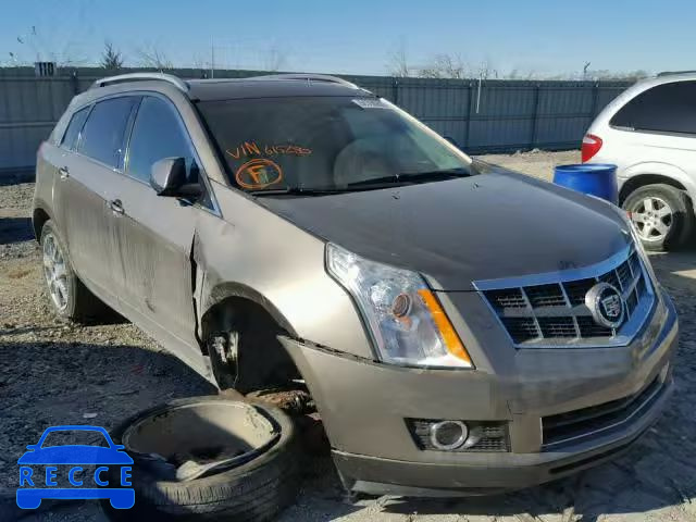 2011 CADILLAC SRX PREMIU 3GYFNFEY0BS615280 image 0