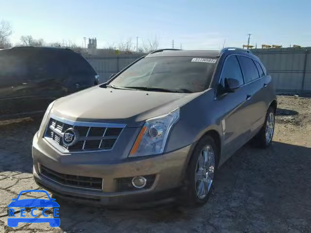 2011 CADILLAC SRX PREMIU 3GYFNFEY0BS615280 image 1