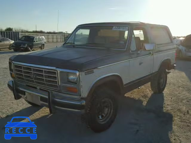 1983 FORD BRONCO U10 1FMEU15G5DLA08021 image 1