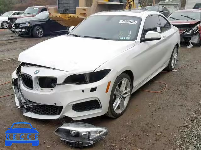 2015 BMW 228 XI WBA1F7C54FVX95971 зображення 1