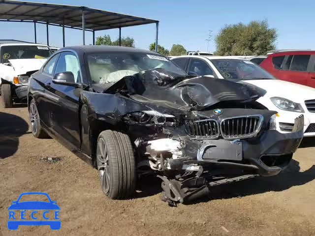 2018 BMW 230XI WBA2J3C54JVA52461 Bild 0