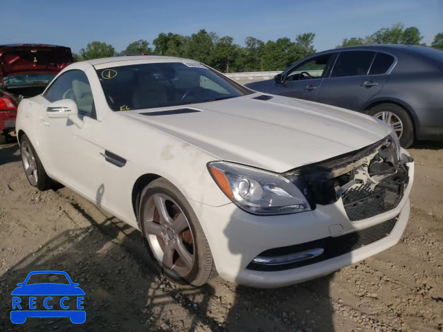 2012 MERCEDES-BENZ SLK 250 WDDPK4HA5CF035556 image 0