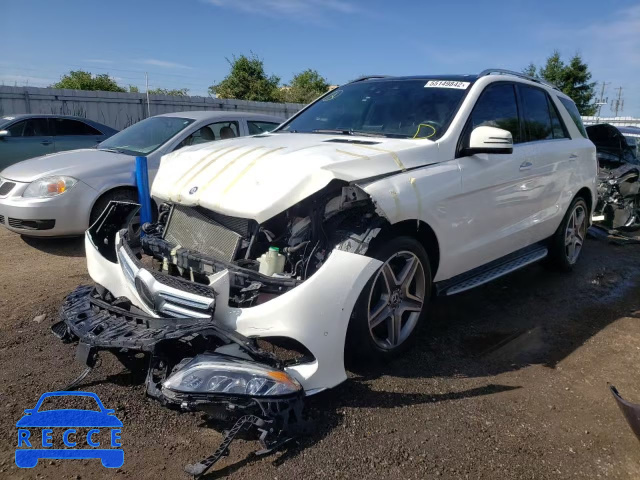 2017 MERCEDES-BENZ GLE 400 4M 4JGDA5GB8HA938140 image 1