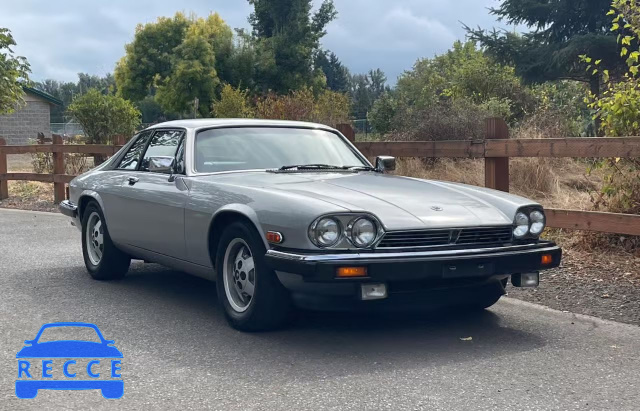 1984 JAGUAR XJS SAJNV5841EC115001 image 0