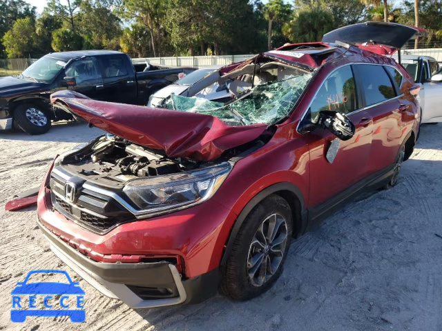 2021 HONDA CR-V EXL 7FARW1H81ME009677 Bild 1