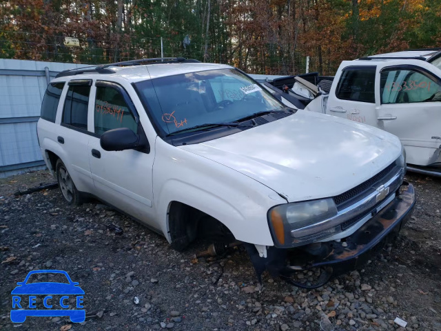 2006 CHEVROLET TRAILBLAZR 1GNDT13S662340303 зображення 0