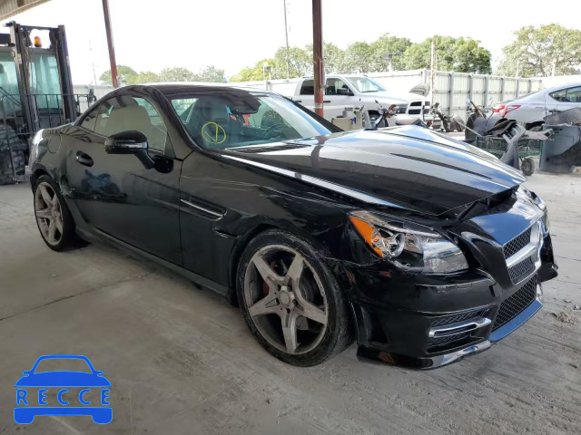 2012 MERCEDES-BENZ SLK 250 WDDPK4HA5CF042961 image 0