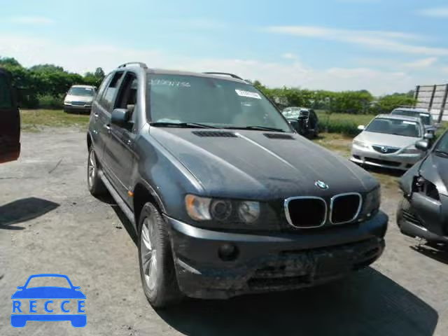 2003 BMW X5 5UXFA53533LV87212 зображення 0