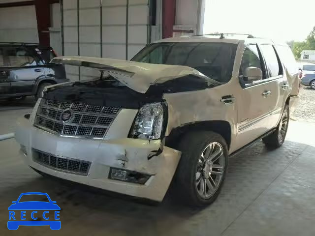 2010 CADILLAC ESCALADE P 1GYUKDEFXAR273082 image 1