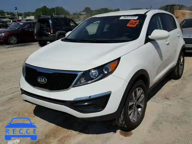 2016 KIA SPORTAGE KNDPB3AC2G7871065 image 1