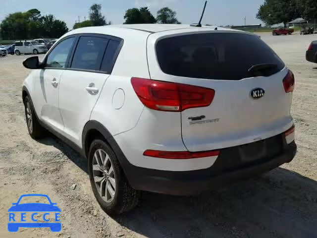 2016 KIA SPORTAGE KNDPB3AC2G7871065 image 2