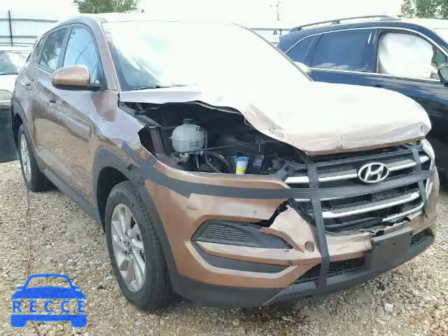 2017 HYUNDAI TUCSON SE KM8J23A42HU301029 image 0