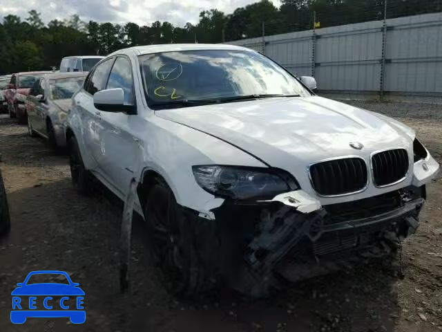 2009 BMW X6 5UXFG43529L223638 Bild 0