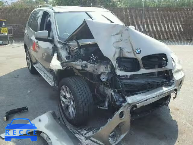 2011 BMW X5 5UXZV4C50BL742194 зображення 0