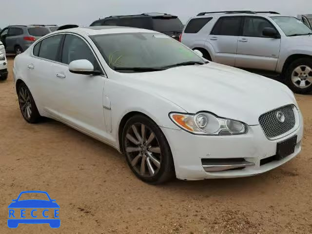 2011 JAGUAR XF SAJWA0GB3BLR97240 image 0