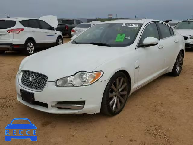 2011 JAGUAR XF SAJWA0GB3BLR97240 image 1