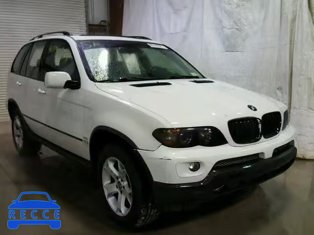 2006 BMW X5 5UXFA13556LY44870 зображення 0