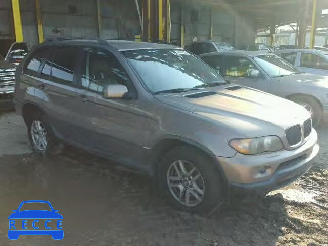 2006 BMW X5 5UXFA13536LY38937 зображення 0