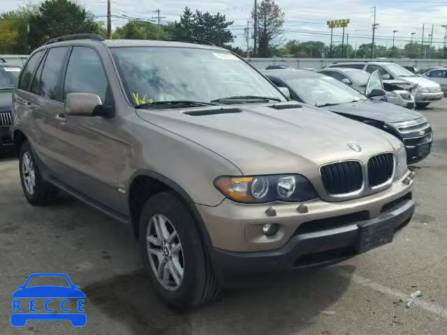 2006 BMW X5 5UXFA13536LY44205 зображення 0