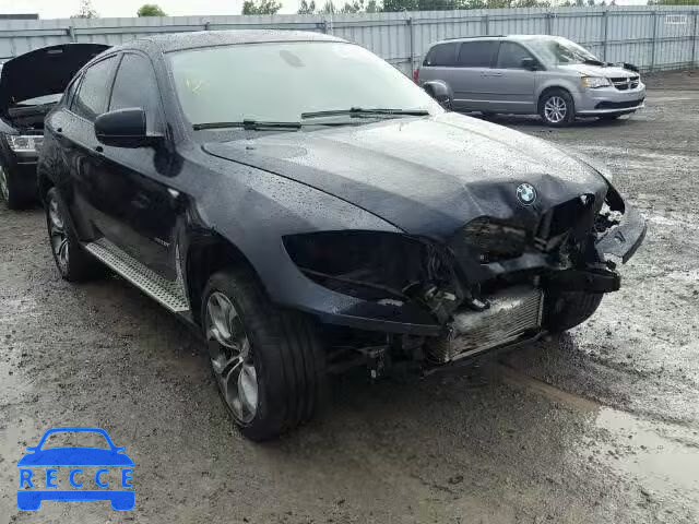 2013 BMW X6 5UXFG2C53DL786839 Bild 0