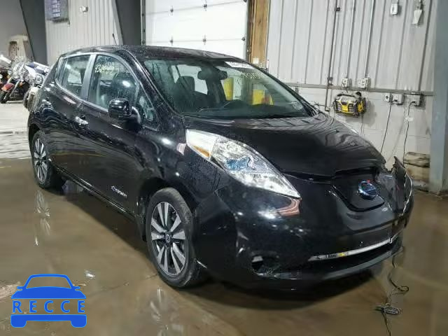 2014 NISSAN LEAF 1N4AZ0CP7EC332516 Bild 0