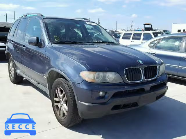 2005 BMW X5 5UXFA13525LY17480 зображення 0