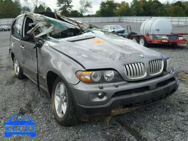 2005 BMW X5 5UXFB53555LV13631 зображення 0