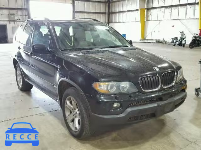 2005 BMW X5 5UXFA13585LY12834 зображення 0