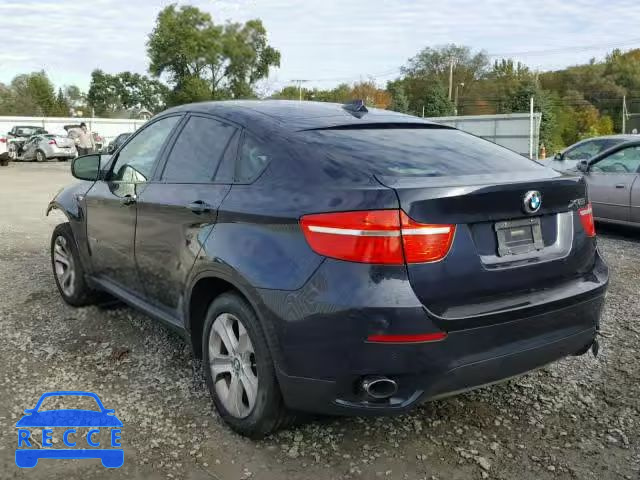 2010 BMW X6 5UXFG4C57AL226958 image 2