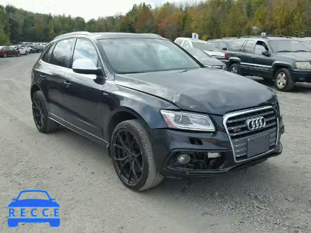 2014 AUDI SQ5 WA1CGAFP0EA049777 Bild 0