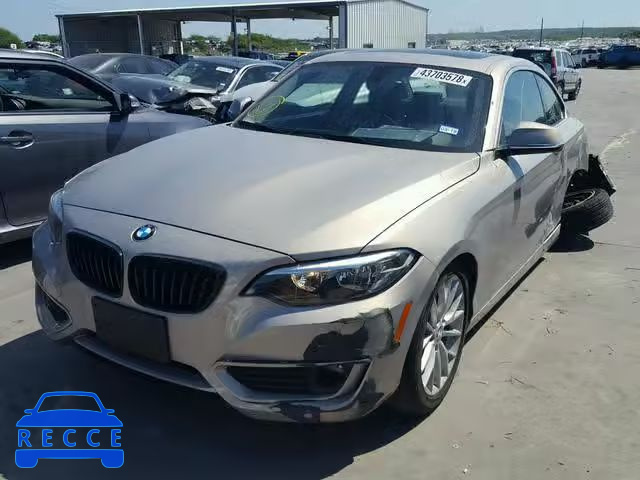 2015 BMW 228 XI WBA1F7C58FVX95701 Bild 1