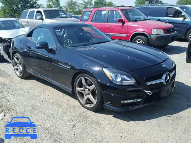 2013 MERCEDES-BENZ SLK 250 WDDPK4HA4DF060076 зображення 0